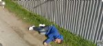 Googlov pogled na slovanski svet - fotografija 5