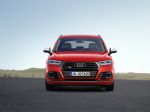 Za zdaj samo z bencinskim motorjem - fotografija 8