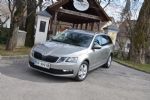Prenova za češko prvakinjo - fotografija 4