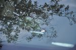 Opel po francosko - fotografija 5