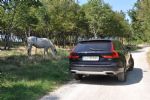 Vsestranski karavan z dodatnimi mišicami - fotografija 33