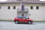 Mali športni terenec z močnimi aduti - fotografija 11