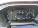 Ford Tourneo v službi glasbene zvezde - fotografija 6