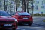 Evropsko-korejski granturismo ogrel Slovence - fotografija 7