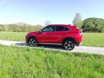 Tisti drugačen SUV - fotografija 12