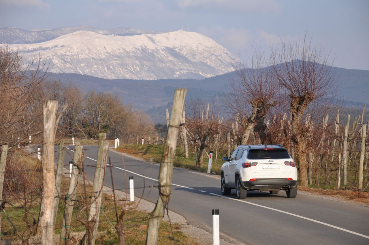 Gazenje po stranpoteh mu je zapisano v DNK
