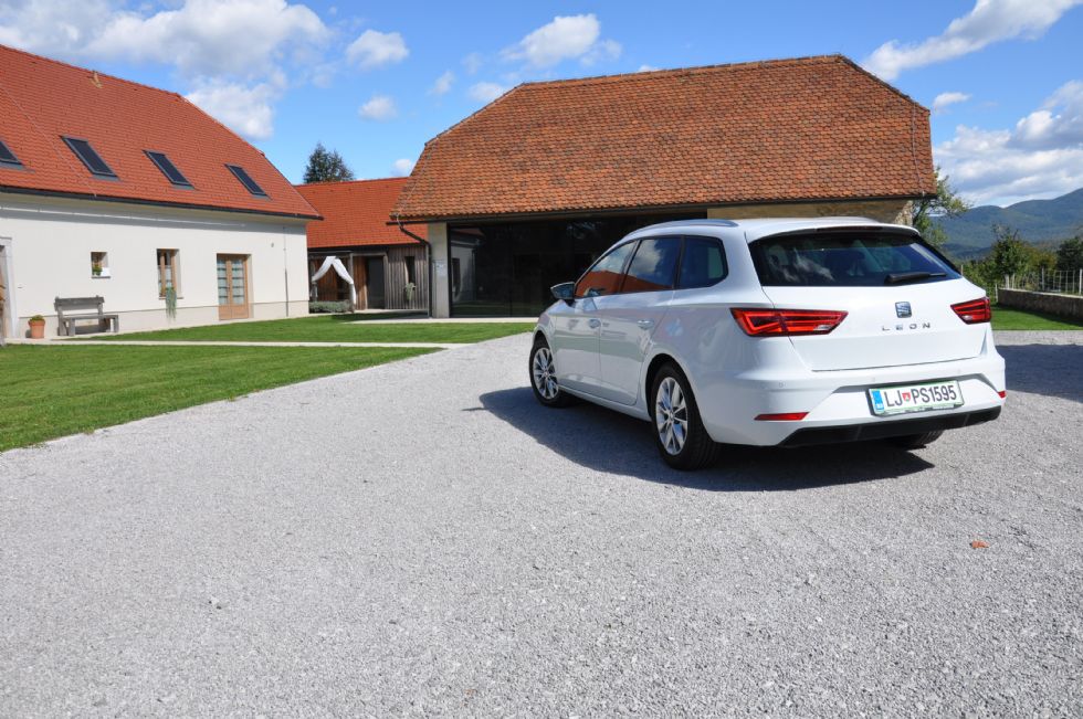 Družinski Španec, ki poskrbi za primerno dozo dinamike