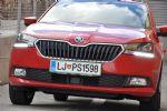 Zakaj je Fabia lahko idealen družinski avto - fotografija 1