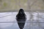 Drzni Britanec, ki razvaja - fotografija 10