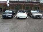 Alfafest Brkini že šestič - fotografija 15