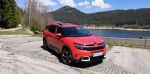 Isti geni, pa čisto drugačna duša - fotografija 29