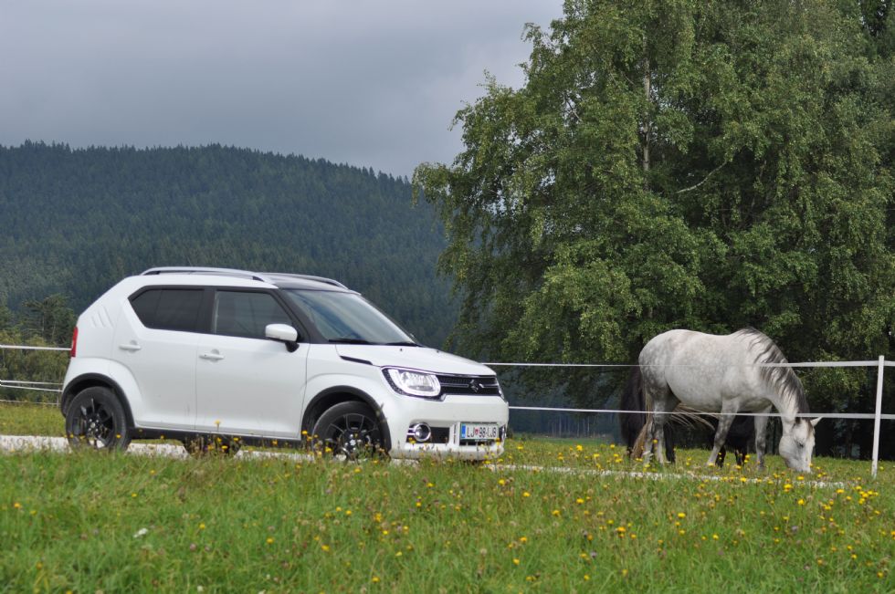 S štirikolesnim pogonom med oblake