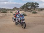Africa Twin ima nov obraz in tehniko, prvi primerki v Trzinu že novembra - fotografija 15