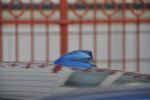 Žlahtno in dovršeno staranje sedme generacije - fotografija 7