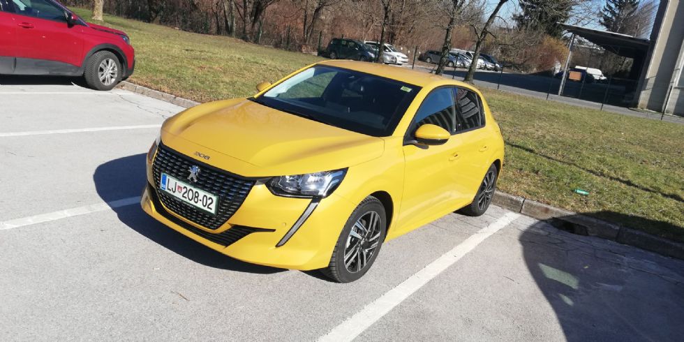 Na druženje prihaja lev