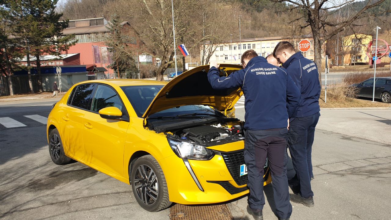 Kraljevska varnost malega levčka