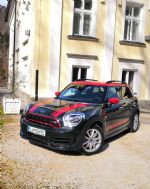 Mišičasti križanec iz plemenite družine - fotografija 48