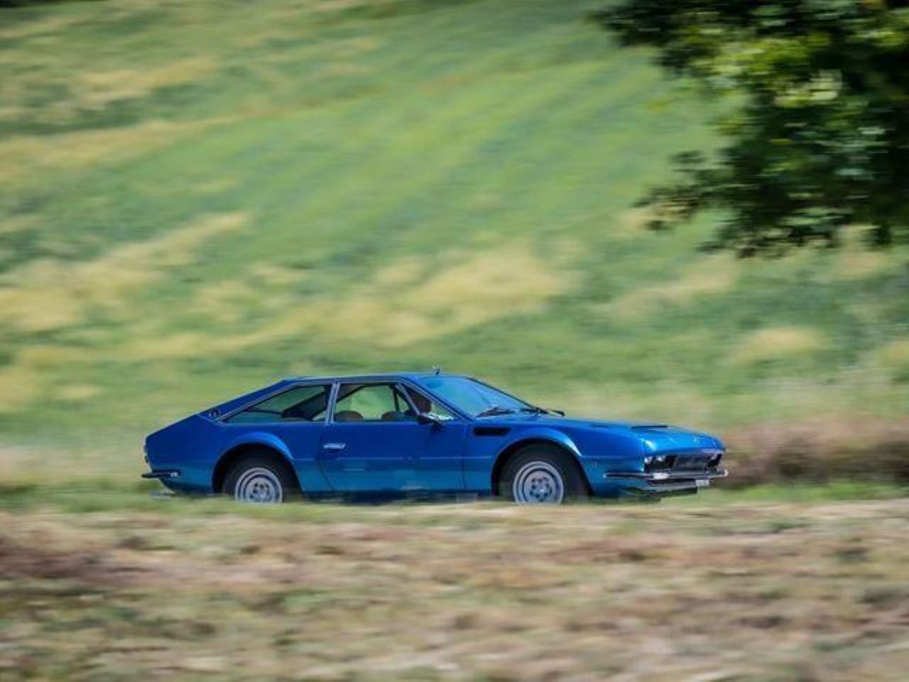 Pol stoletja Lamborghinijeve Jarame