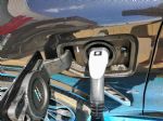 Terensko spogledovanje z elektriko - fotografija 24