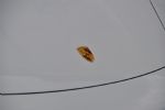 Tako kot Porsche to zna - fotografija 4