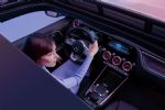Najmanjši zvezdni električar - fotografija 20