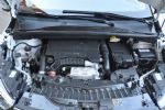 Tradicija kot adut - fotografija 4