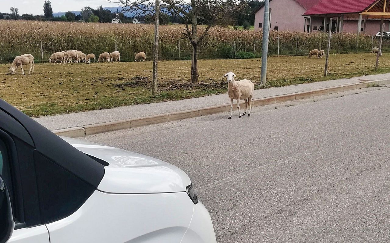 Čez Dolenjsko na konec sveta in nazaj