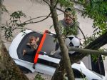 Električar, ki spreminja francosko znamko - fotografija 9