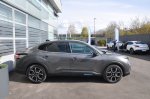 X kot križanec - fotografija 18