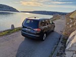 Hibridizacija velikega Forda - fotografija 20