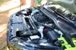 Strupena češka električna puščica - fotografija 26