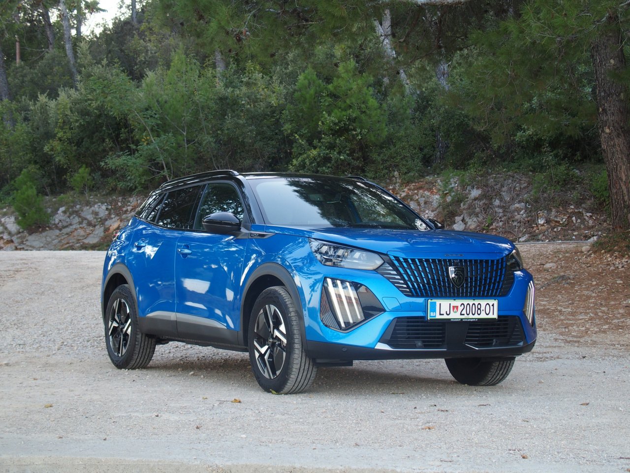 Kralj malih križancev
