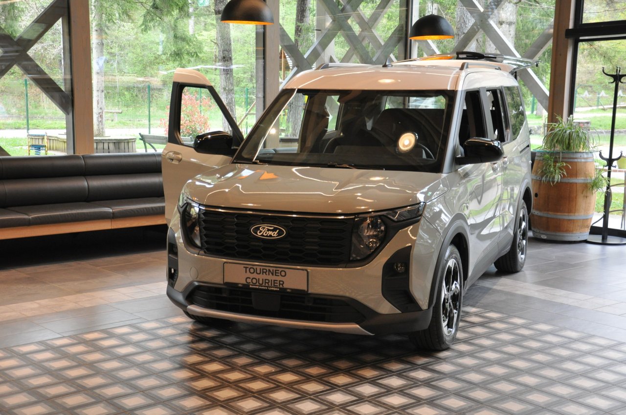 Čistokrvni Ford v potniški ali tovorni različici Čistokrvni Ford v potniški ali tovorni različici
