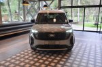 Čistokrvni Ford v potniški ali tovorni različici - fotografija 16