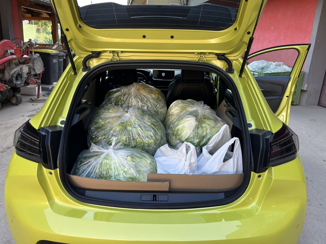 Kako spravite v Peugeot 208 40 kilogramov solate (plus 10 kg kromprija in 2 kg česna)? Z lahkoto.