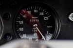 Butična svojeglava Alfa, ki posoja ime - fotografija 22