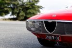 Butična svojeglava Alfa, ki posoja ime - fotografija 26
