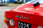 Butična svojeglava Alfa, ki posoja ime - fotografija 30