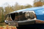 Butična svojeglava Alfa, ki posoja ime - fotografija 50