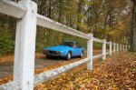 Butična svojeglava Alfa, ki posoja ime - fotografija 53