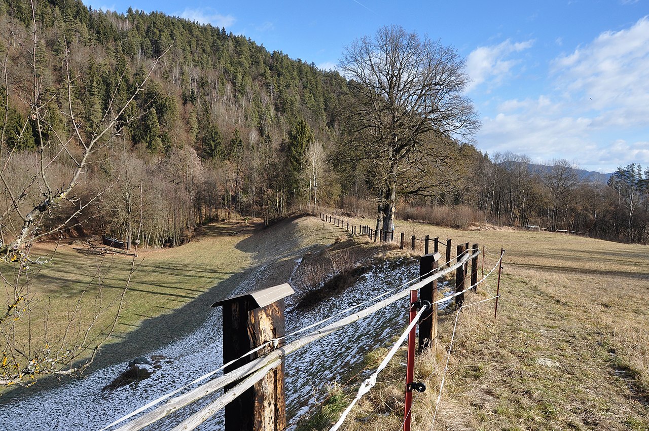 Znameniti travnik, kjer je v tem jarku ob robu stal knežji kamen. Bolj generična in prazna slika ne bi mogla biti. Deželni muzej bi se lahko potrudil in tudi tu postavil tablo, kot jo je pri vojvodskem prestolu.