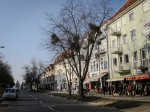 Raziskovanje Prekmurja s Cupro Leon Sportstourer - fotografija 49