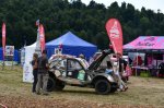 Simfonija Citroenčkov - fotografija 12
