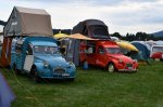 Simfonija Citroenčkov - fotografija 42