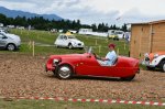 Simfonija Citroenčkov - fotografija 6