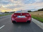 Elegantni upornik - fotografija 27