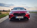 Elegantni upornik - fotografija 28