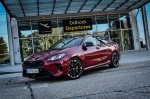 Elegantni upornik - fotografija 6