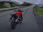 Sršen je dobil krila in potovalne kovčke - fotografija 10