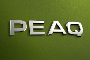 Škoda Peaq - novi električni zastavonoša s sedmimi sedeži